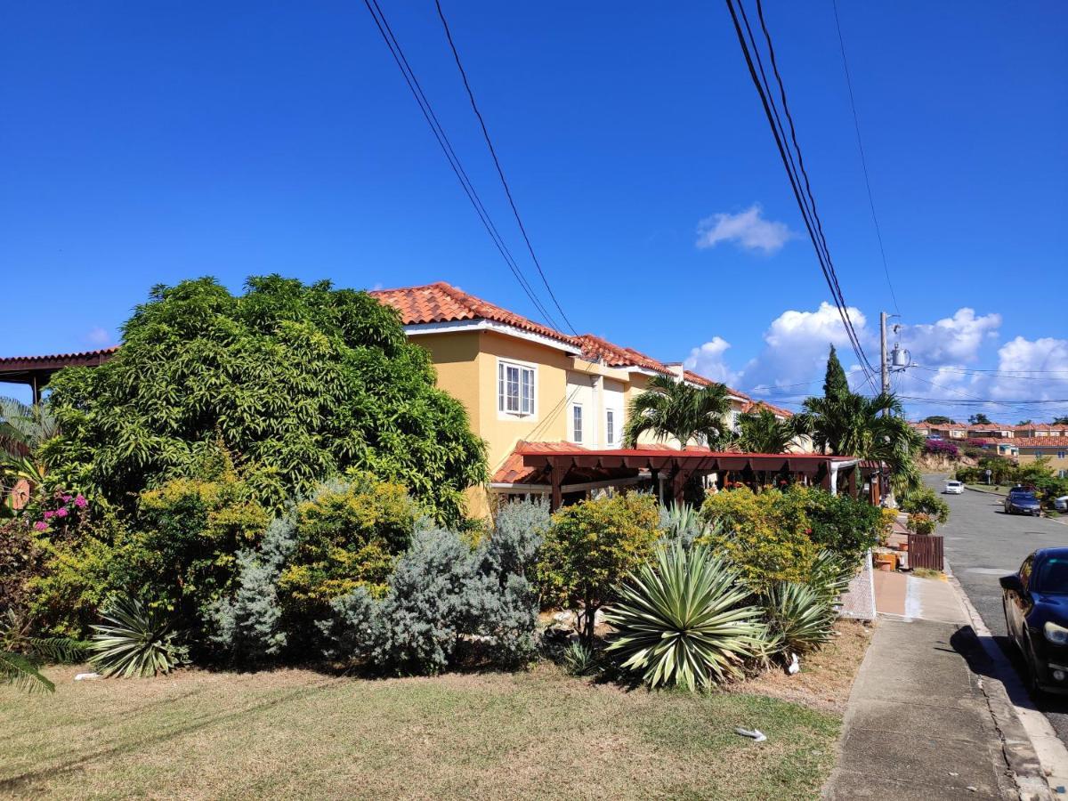 Garden Studio Flat Mango Walk Apartment Montego Bay Exterior photo